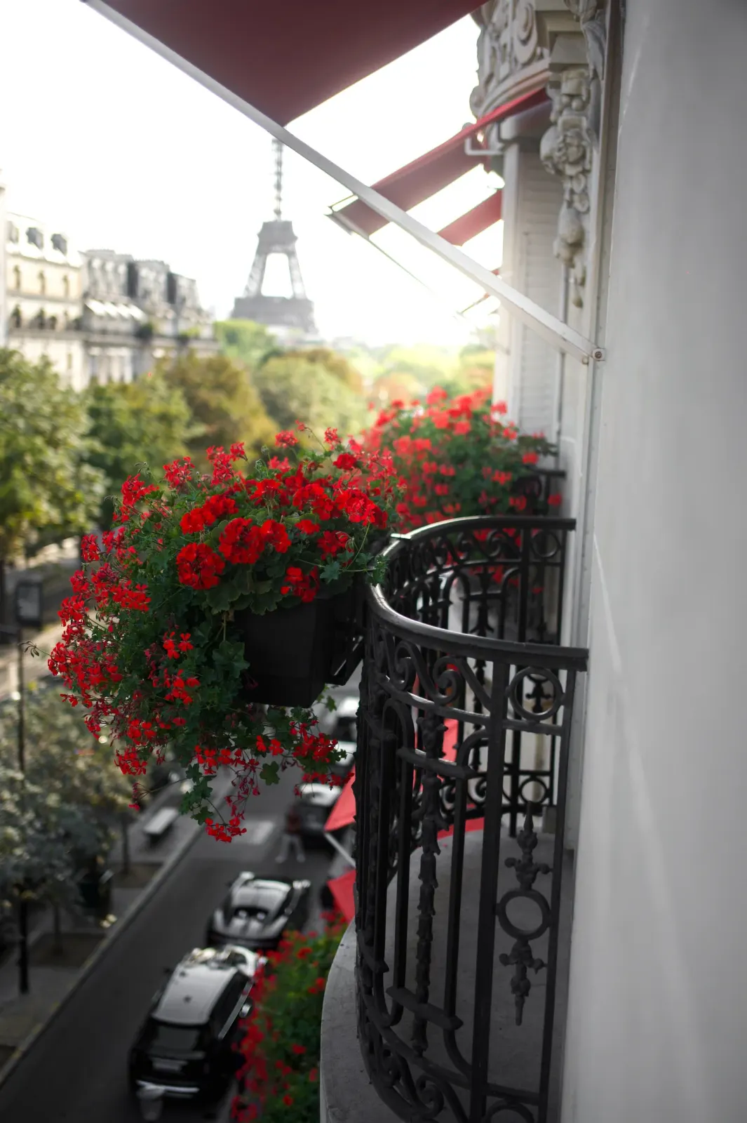 Plaza Athénée, Paris : photographie de Jordan Sapally (29/50)