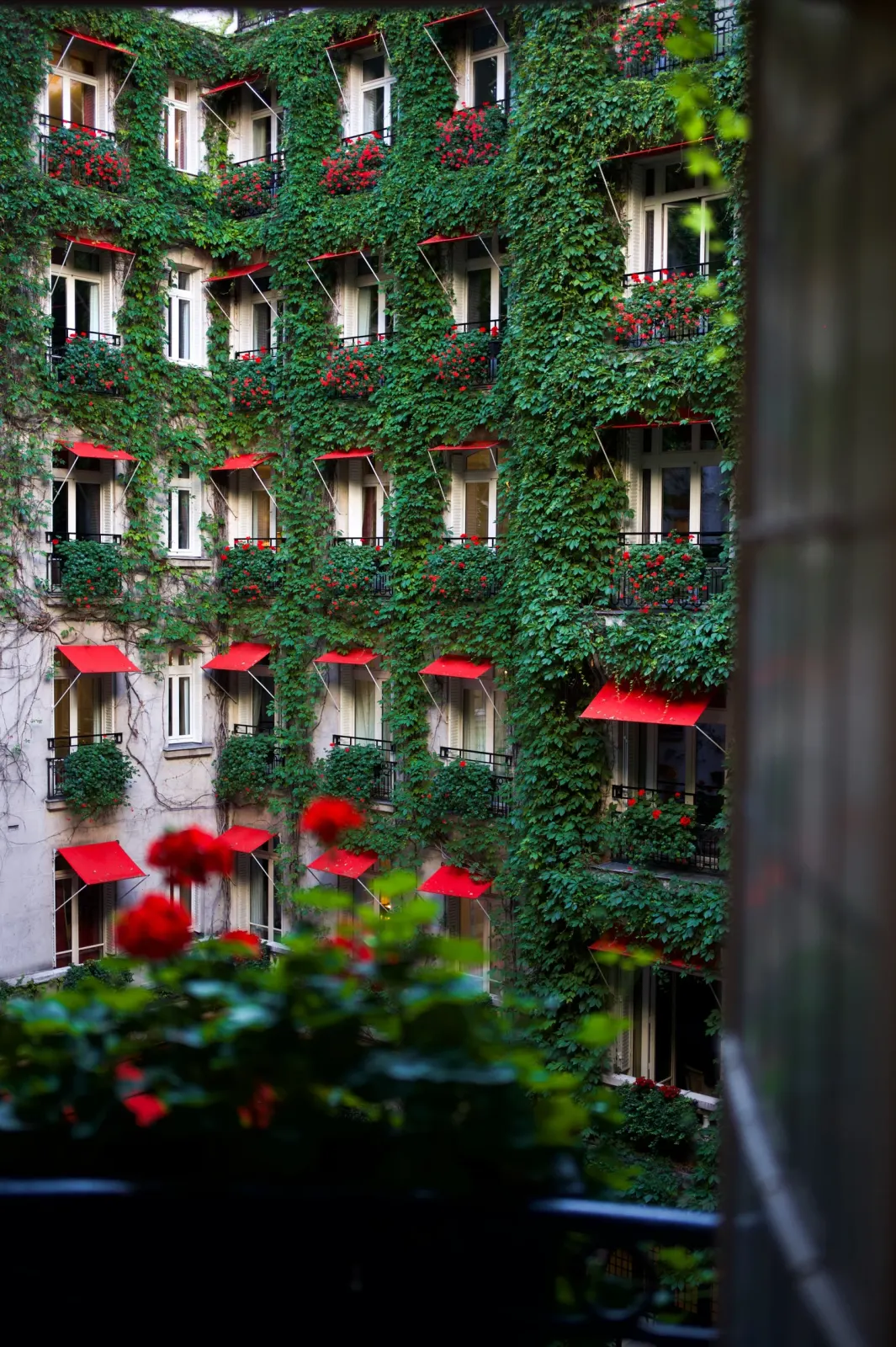 Plaza Athénée, Paris : photographie de Jordan Sapally (32/50)