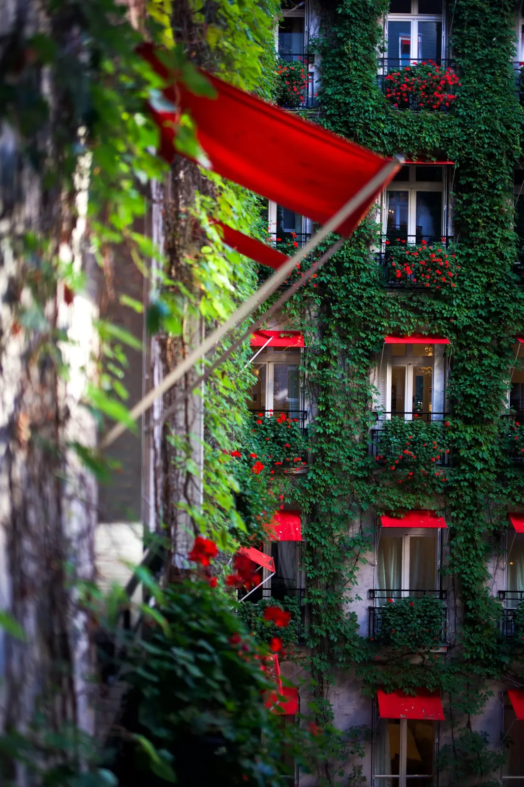 Photographe hôtel