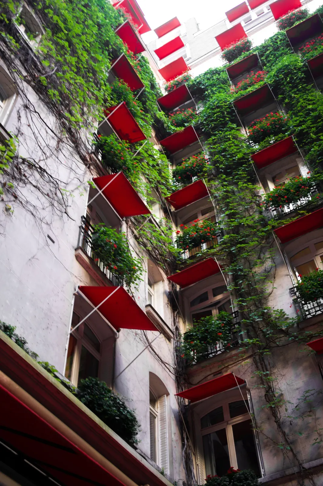 Plaza Athénée, Paris : photographie de Jordan Sapally (42/50)