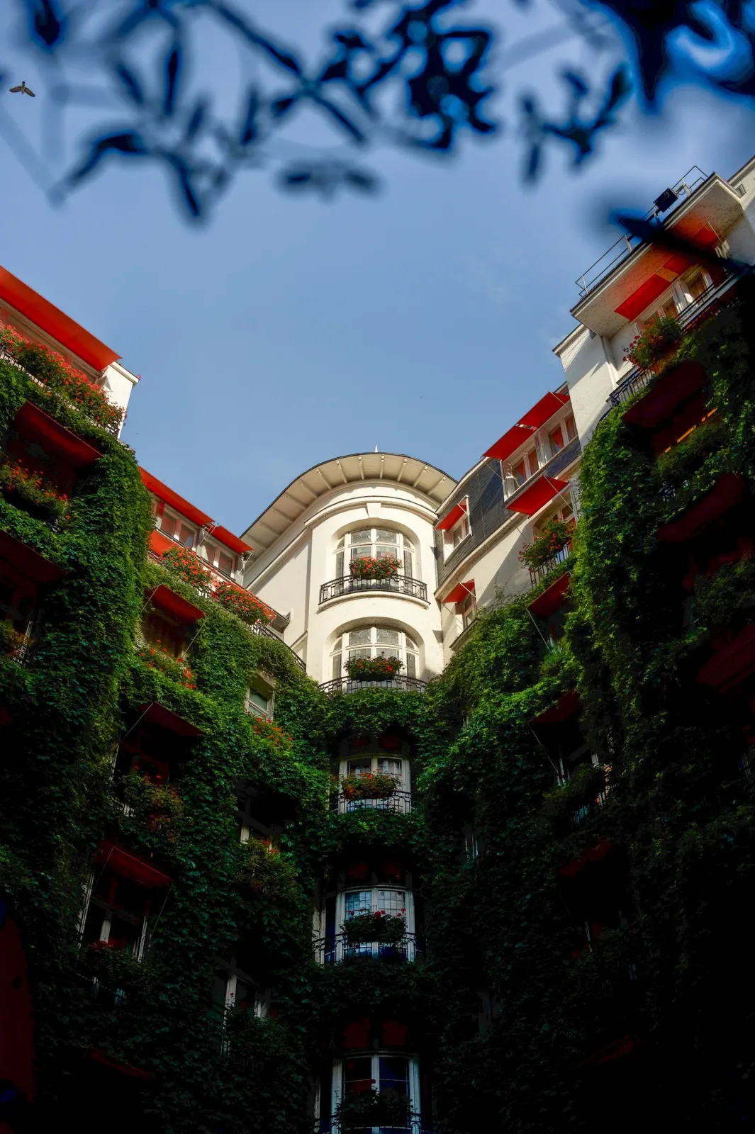 Plaza Athénée, Paris : photographie de Jordan Sapally (44/50)
