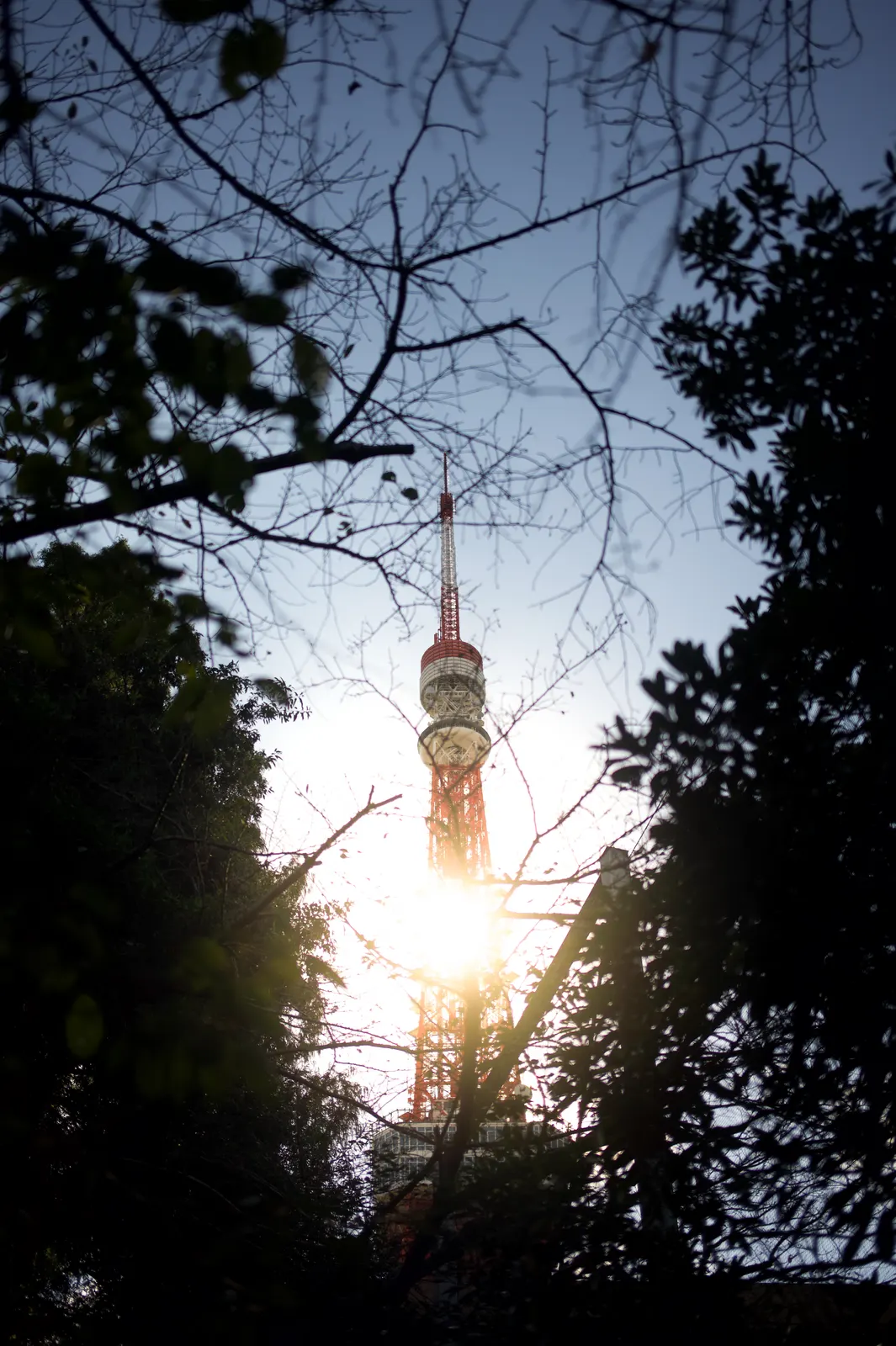 The Edition (Toranomon), Tokyo : photographie de Jordan Sapally (18/186)