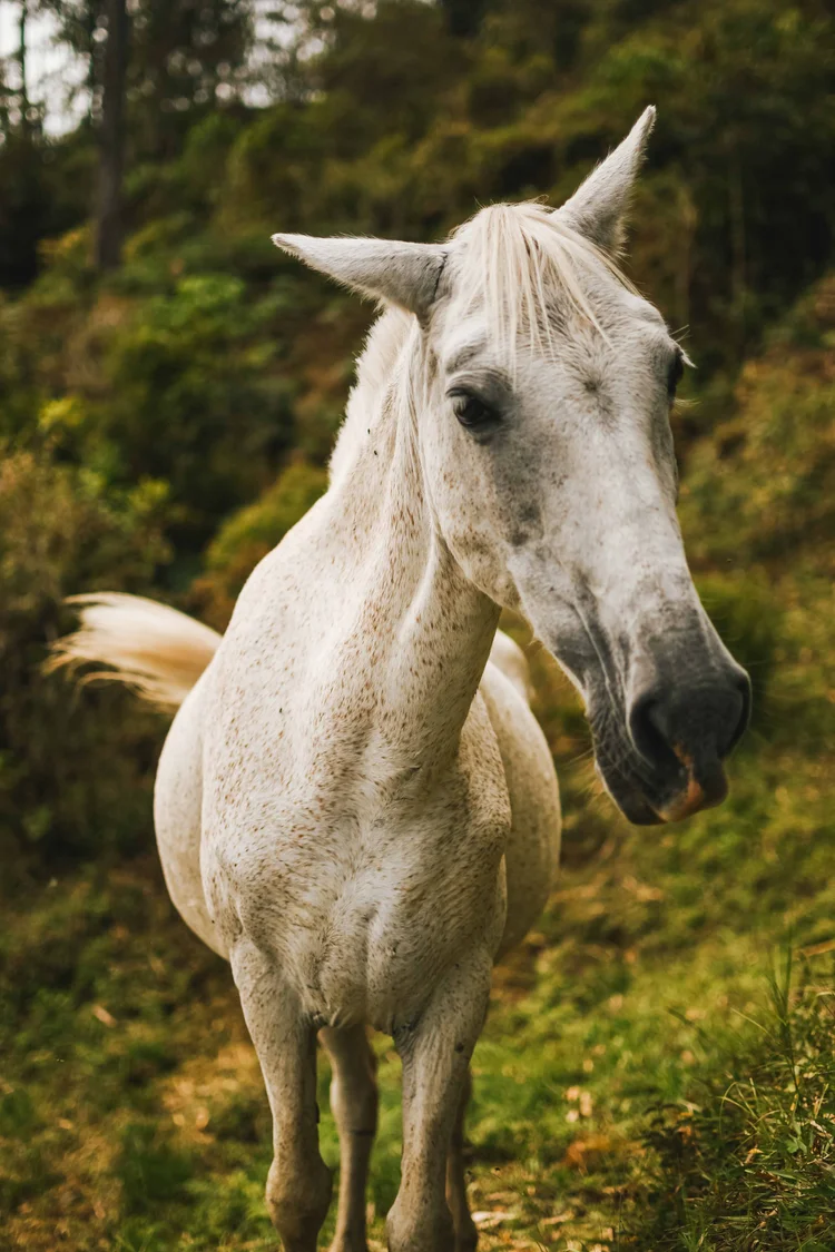Colombie: photograph by Jordan Sapally (21/28)