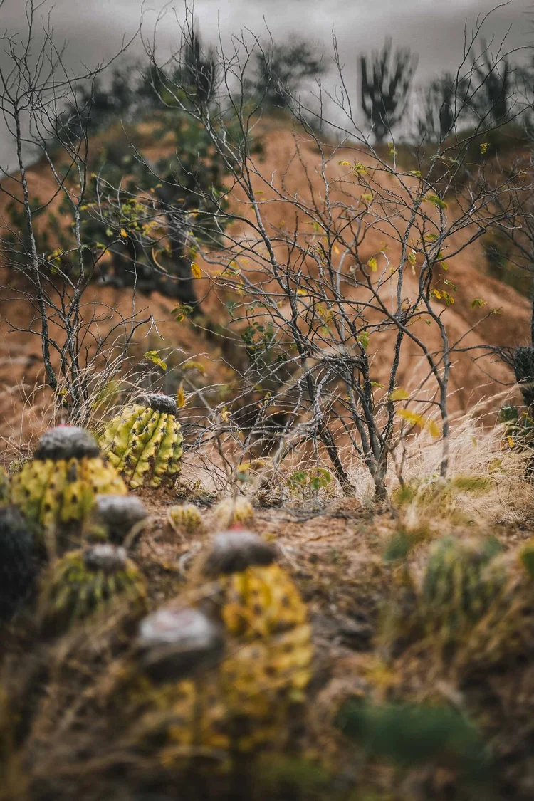 Colombie: photograph by Jordan Sapally (26/28)
