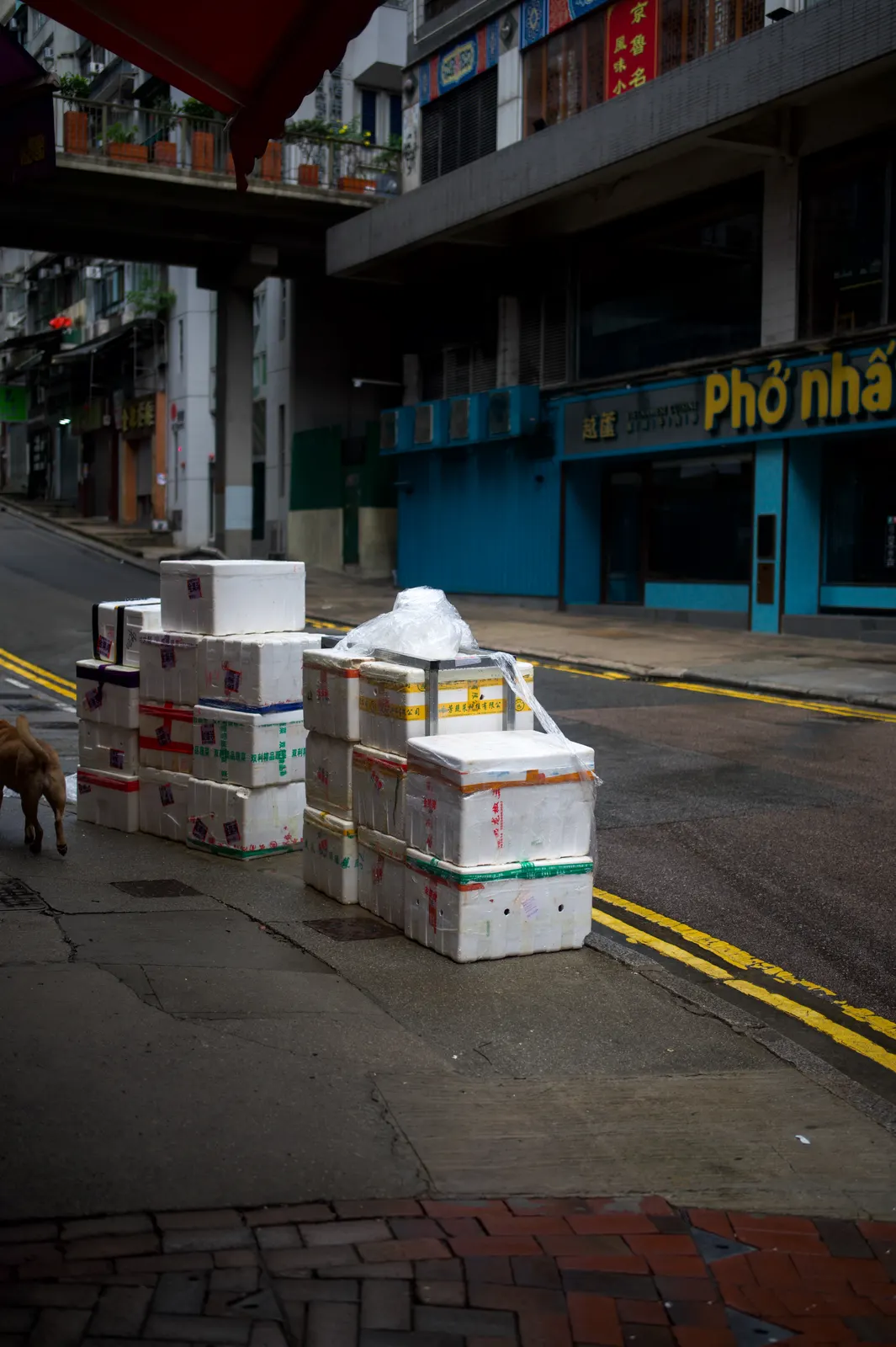Hong Kong : photographie de Jordan Sapally (103/174)