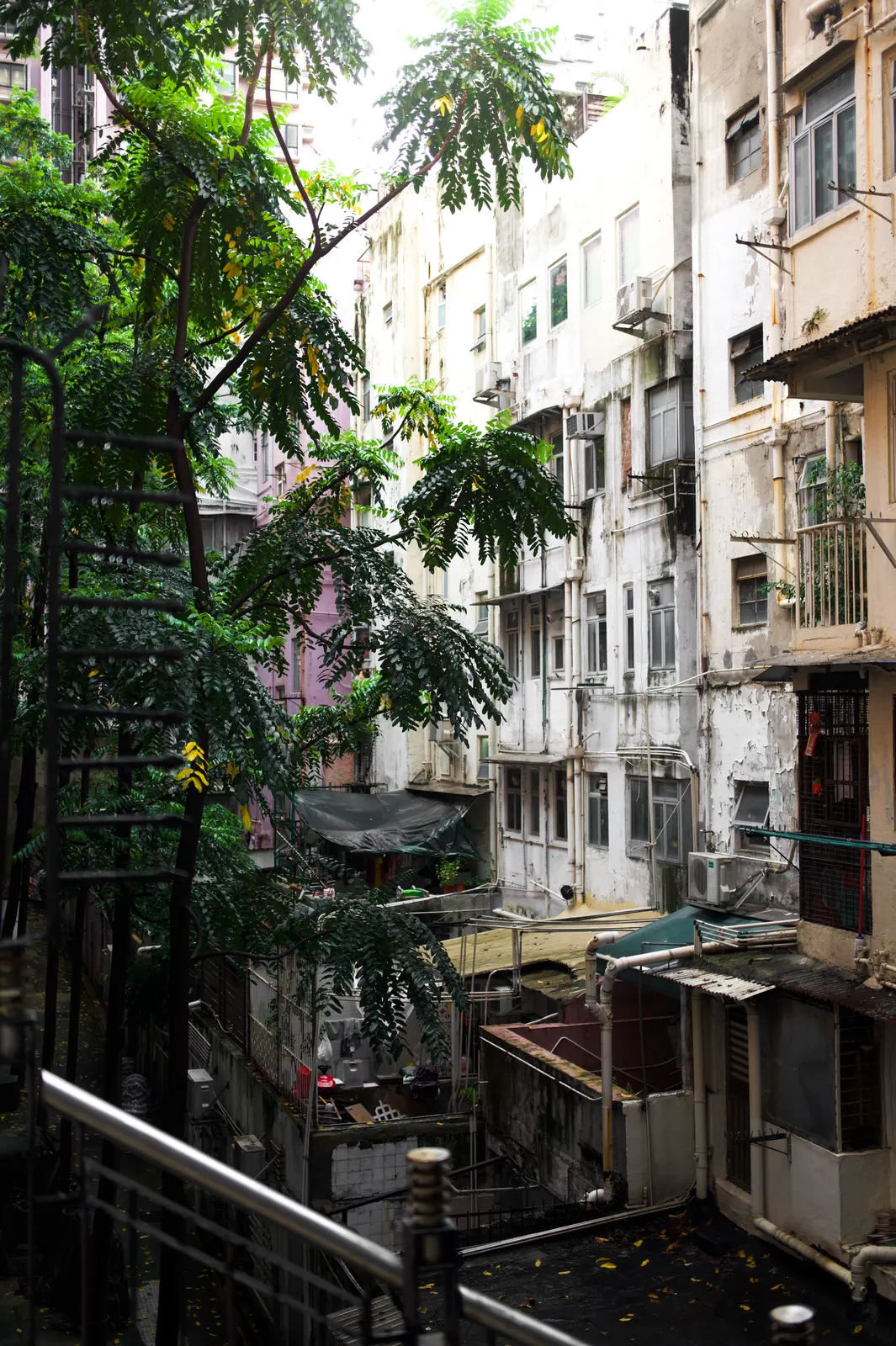 Hong Kong : photographie de Jordan Sapally (119/174)