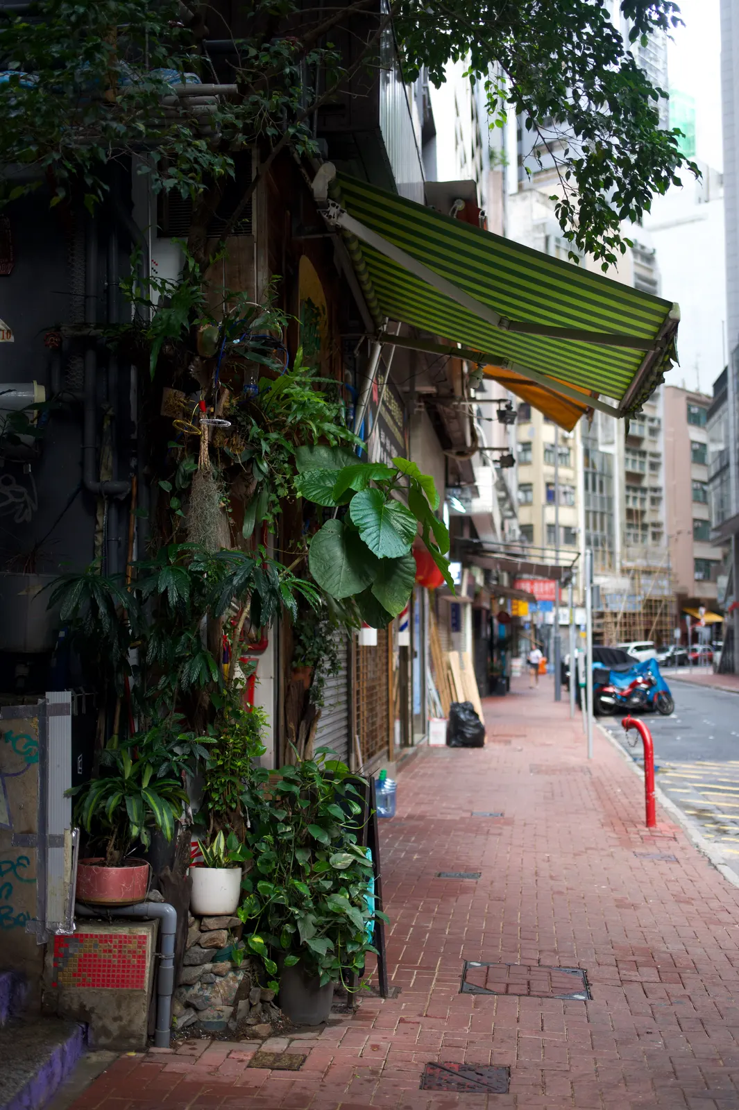 Hong Kong : photographie de Jordan Sapally (142/174)