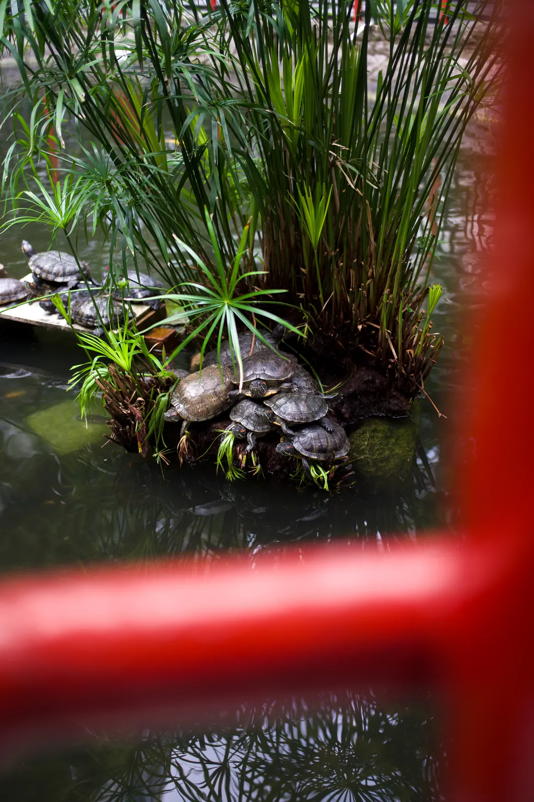 Hong Kong : photographie de Jordan Sapally (163/174)