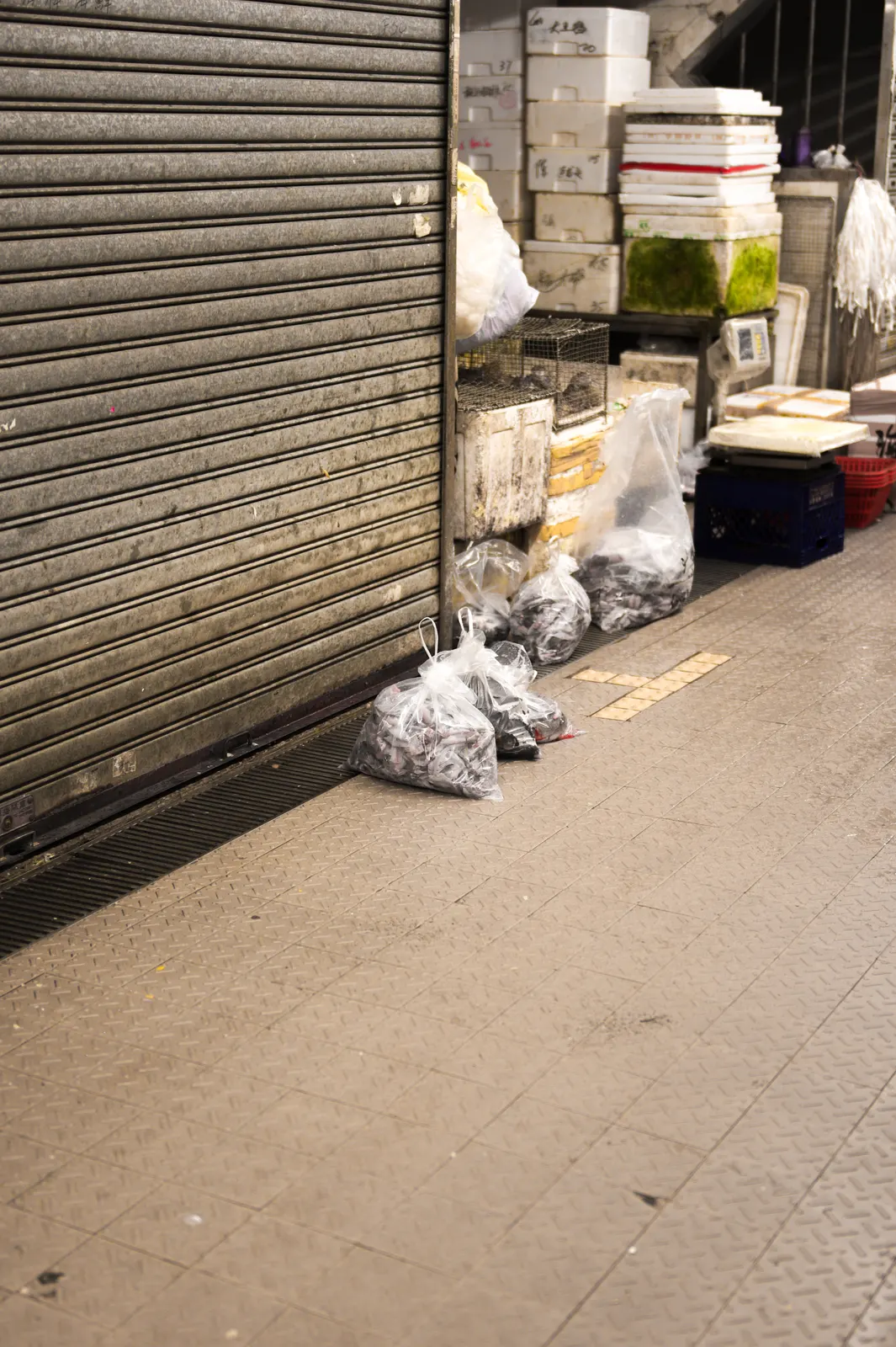 Hong Kong : photographie de Jordan Sapally (29/174)