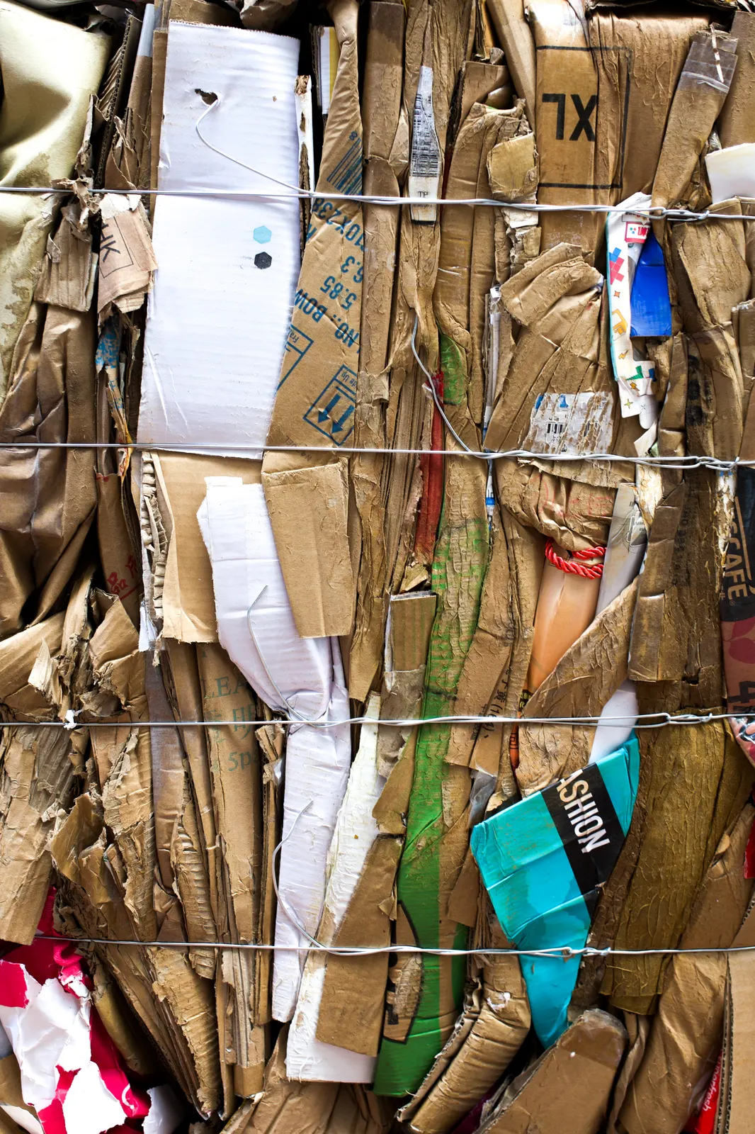 Hong Kong : photographie de Jordan Sapally (44/174)