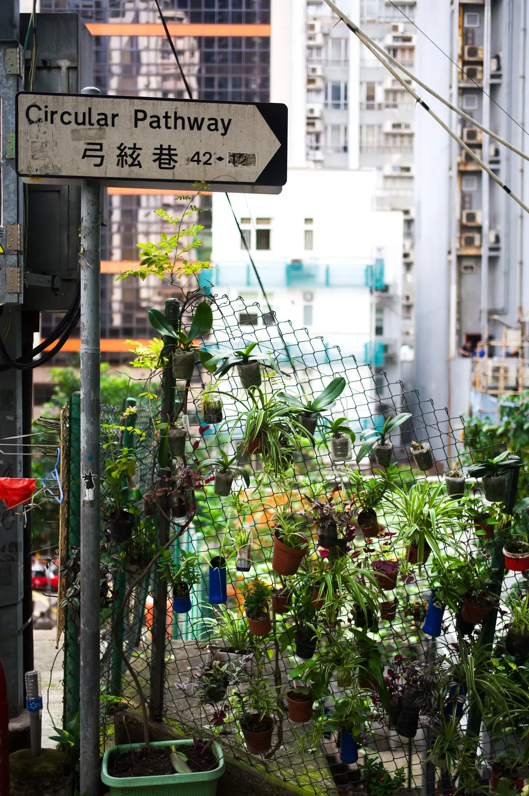 Hong Kong : photographie de Jordan Sapally (48/174)