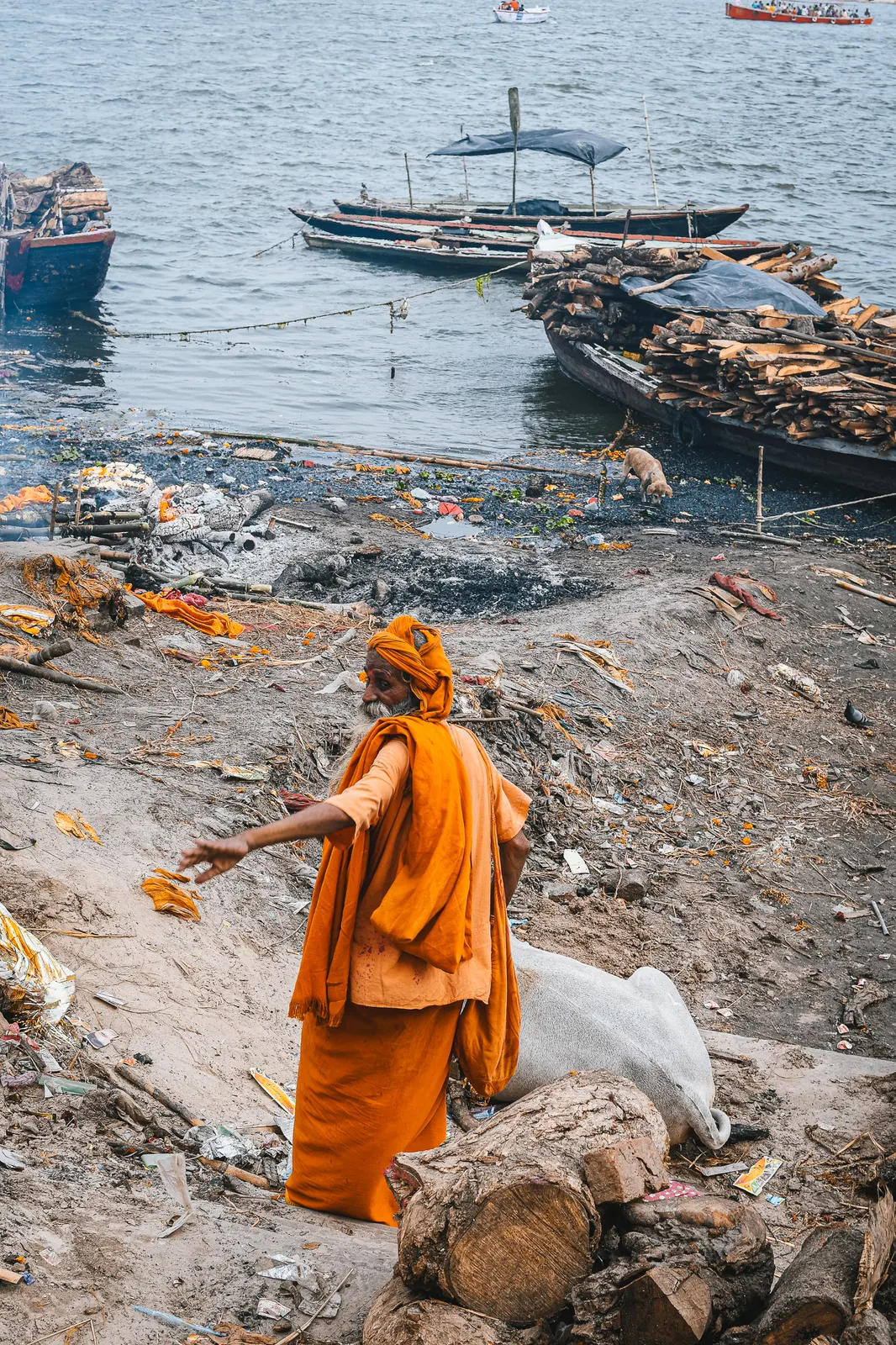 Inde: photograph by Jordan Sapally (20/73)