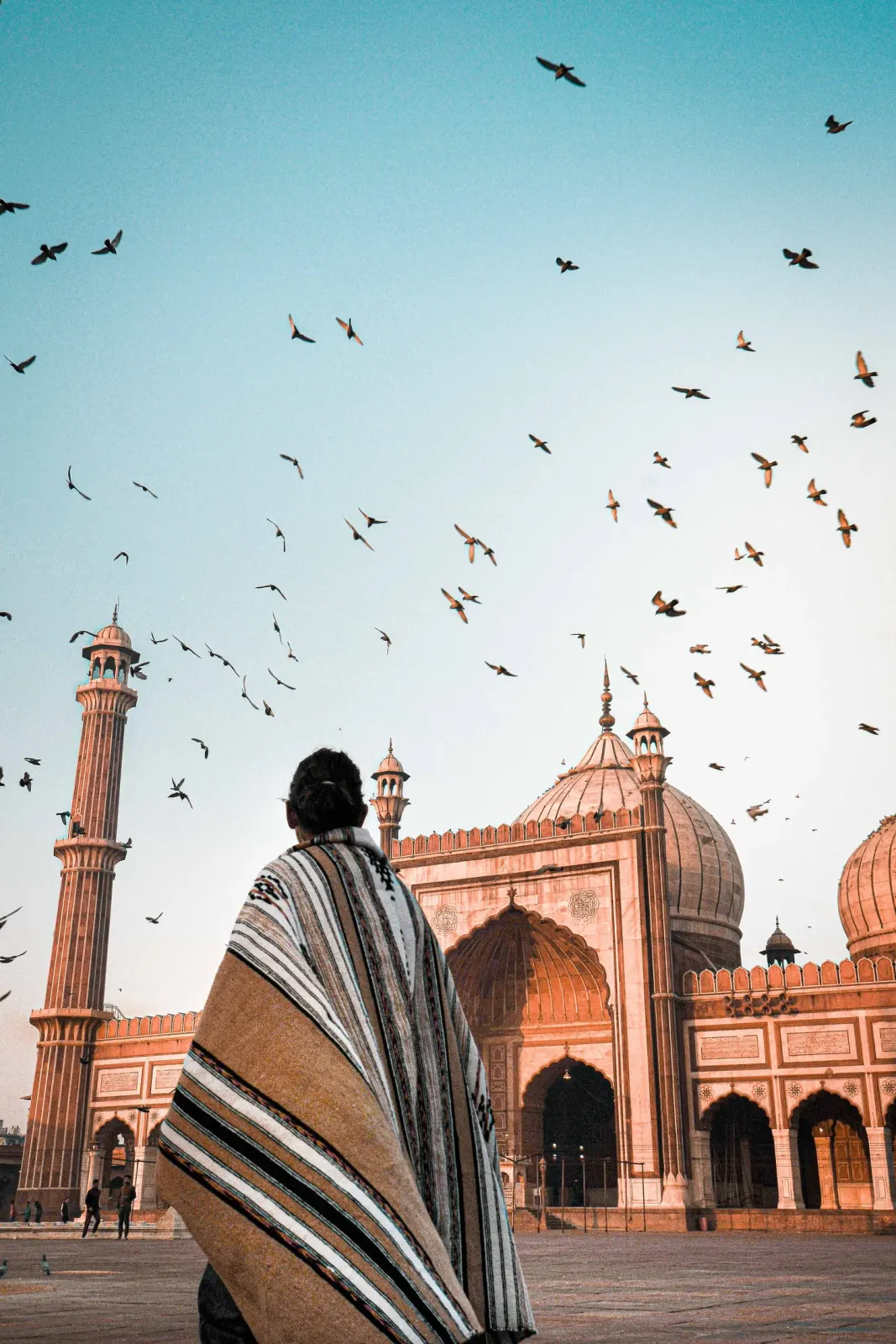 Inde: photograph by Jordan Sapally (36/73)