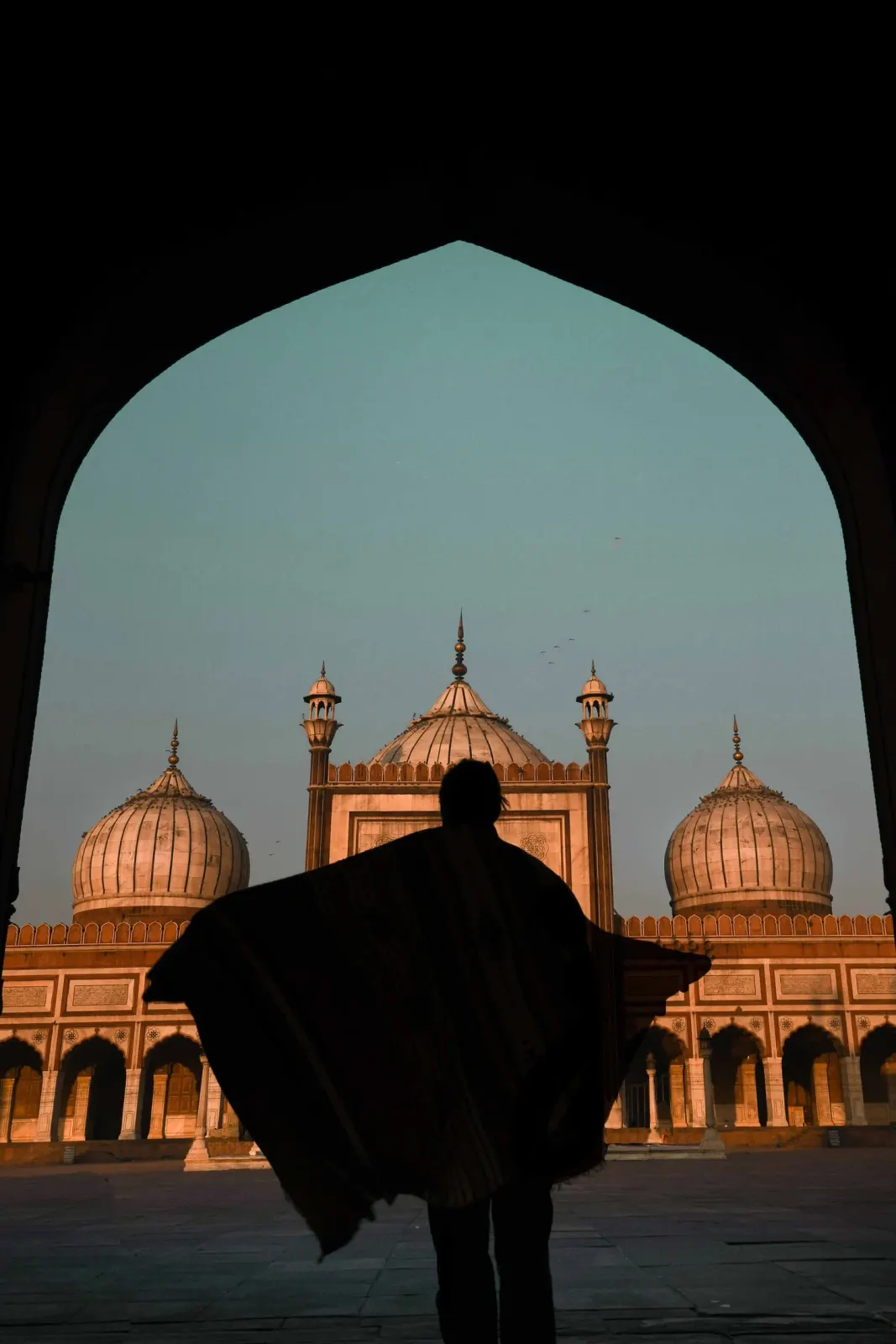 Inde: photograph by Jordan Sapally (38/73)
