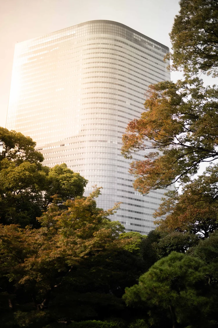 Japon: photograph by Jordan Sapally (6/213)
