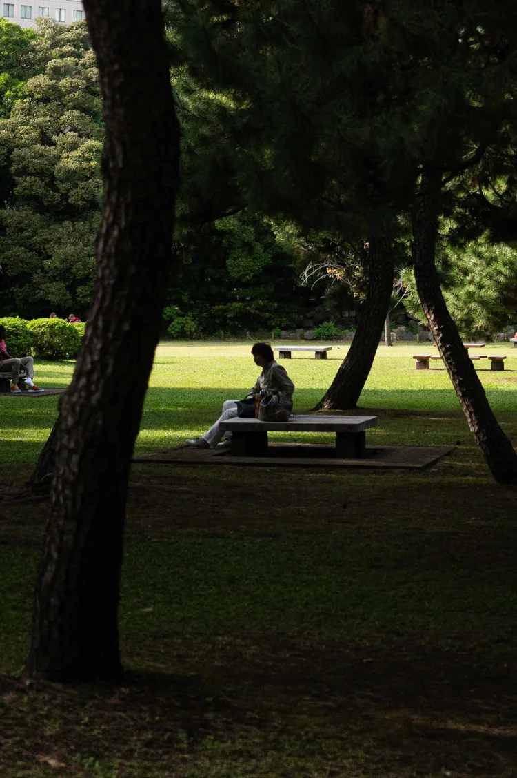 Japon: photograph by Jordan Sapally (8/213)
