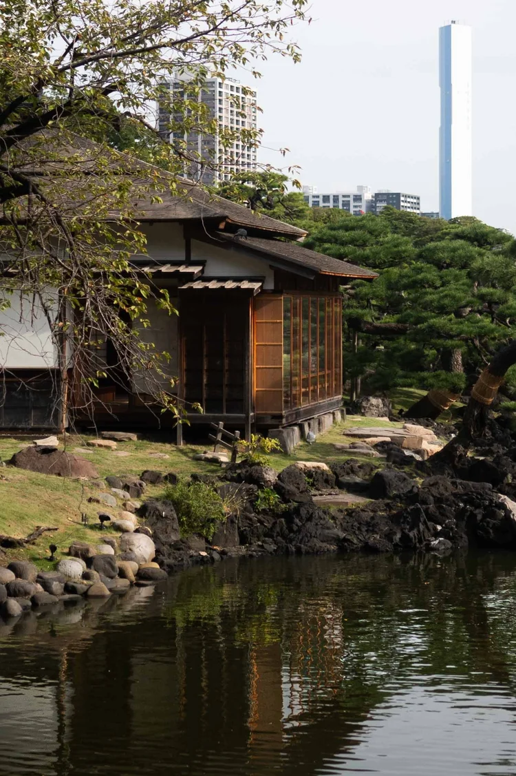 Japon: photograph by Jordan Sapally (9/213)