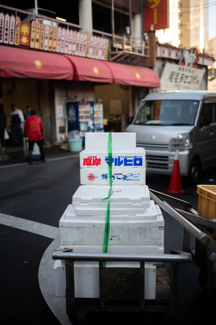 Japon: photograph by Jordan Sapally (105/213)