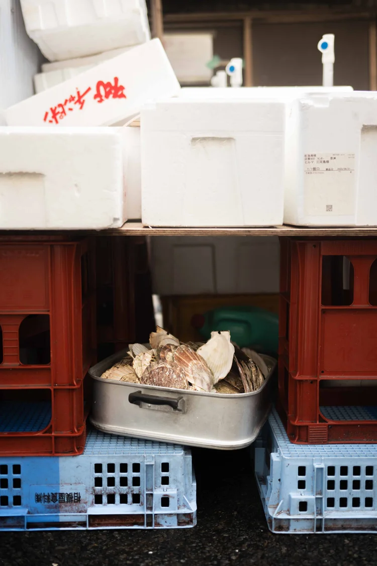 Japon: photograph by Jordan Sapally (130/213)