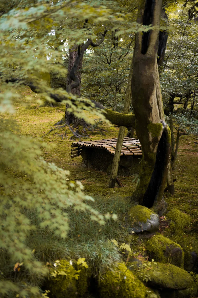 Japon: photograph by Jordan Sapally (143/213)