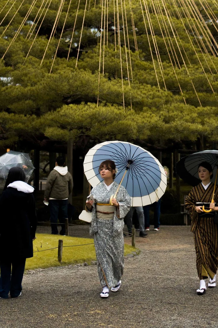 Japon: photograph by Jordan Sapally (151/213)
