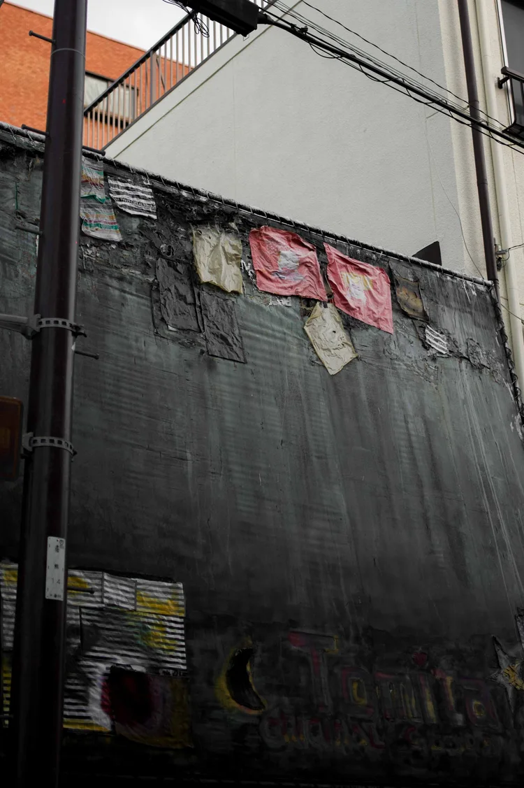 Japon: photograph by Jordan Sapally (162/213)