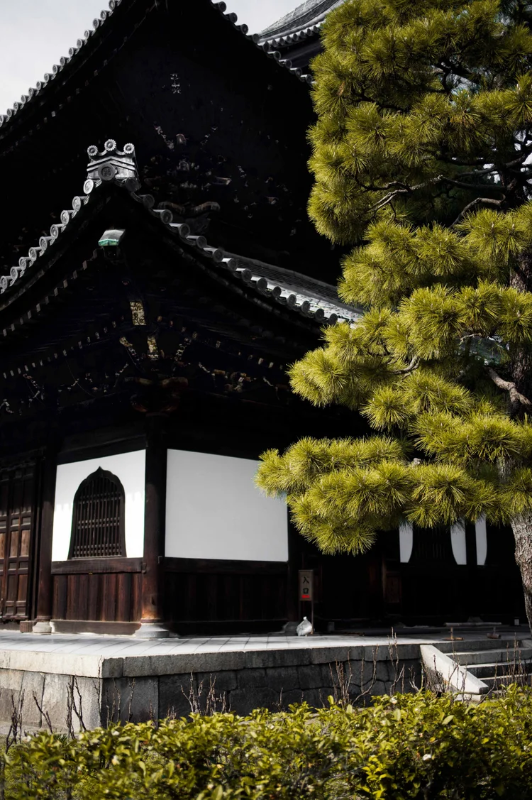 Japon: photograph by Jordan Sapally (170/213)
