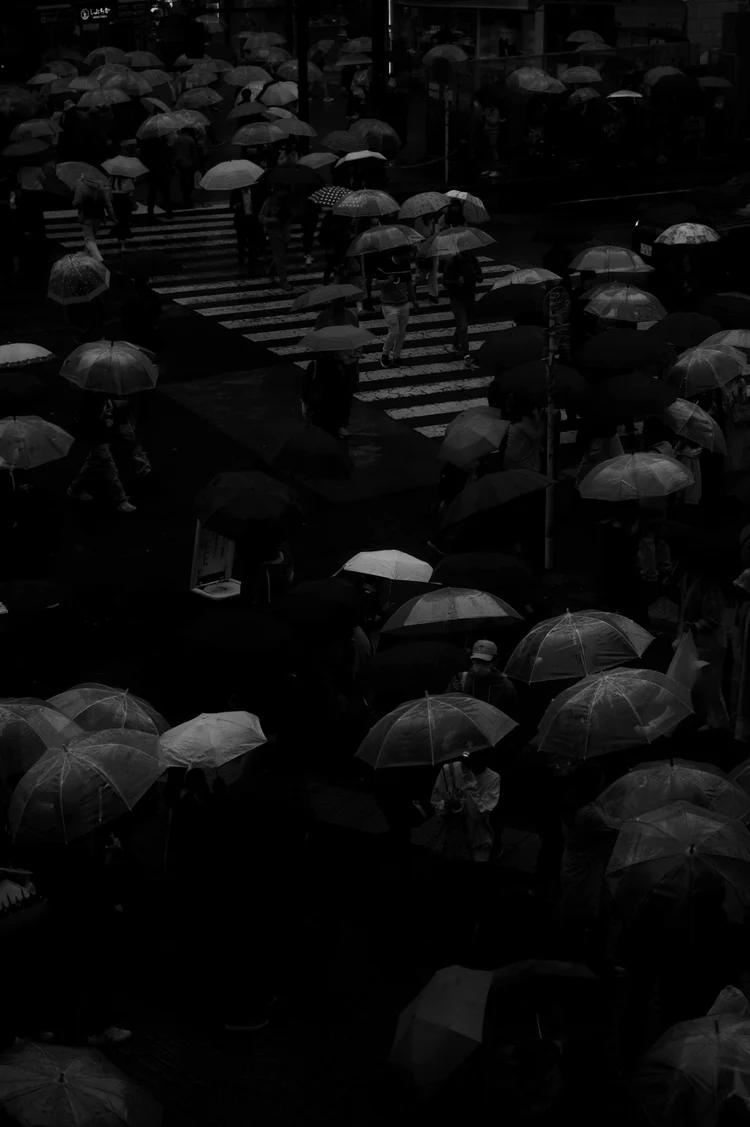 Japon: photograph by Jordan Sapally (180/213)