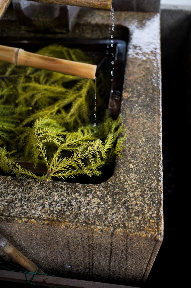 Japon: photograph by Jordan Sapally (187/213)