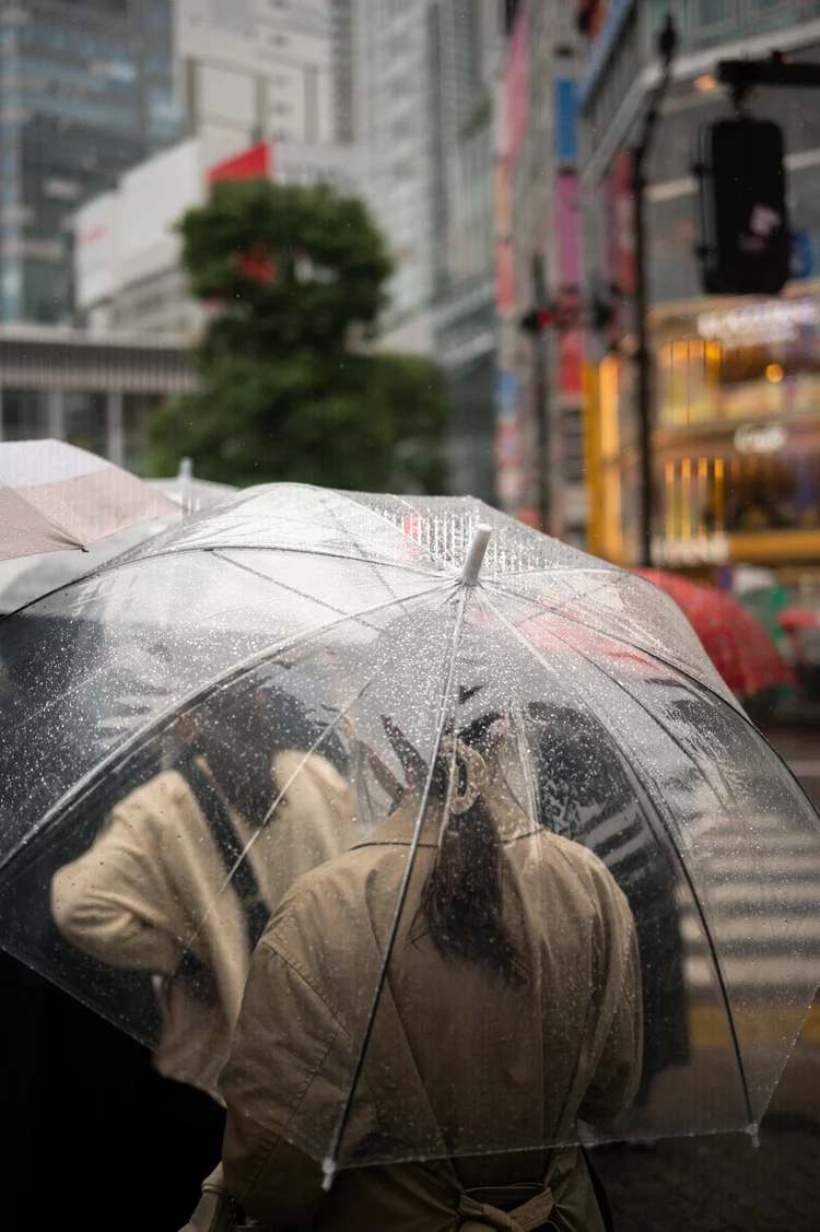 Japon: photograph by Jordan Sapally (189/213)