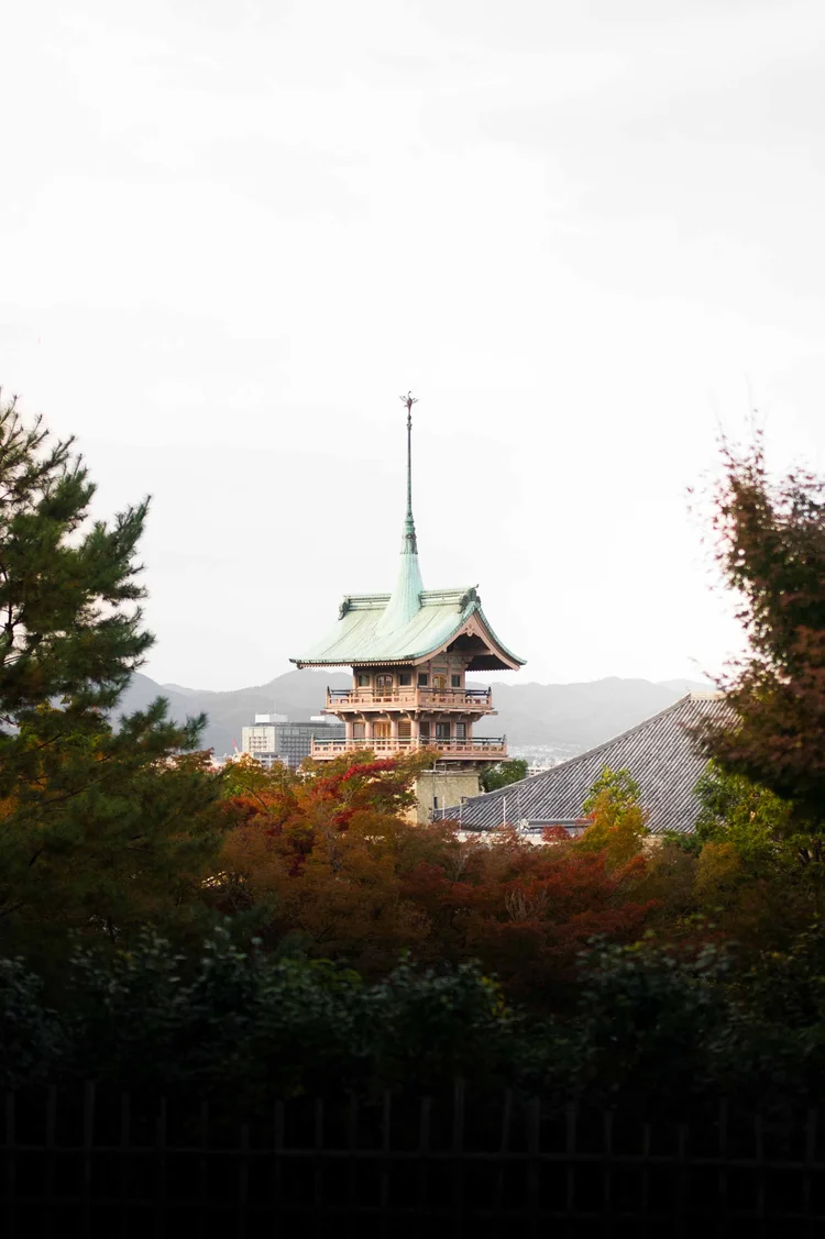 Japon: photograph by Jordan Sapally (195/213)