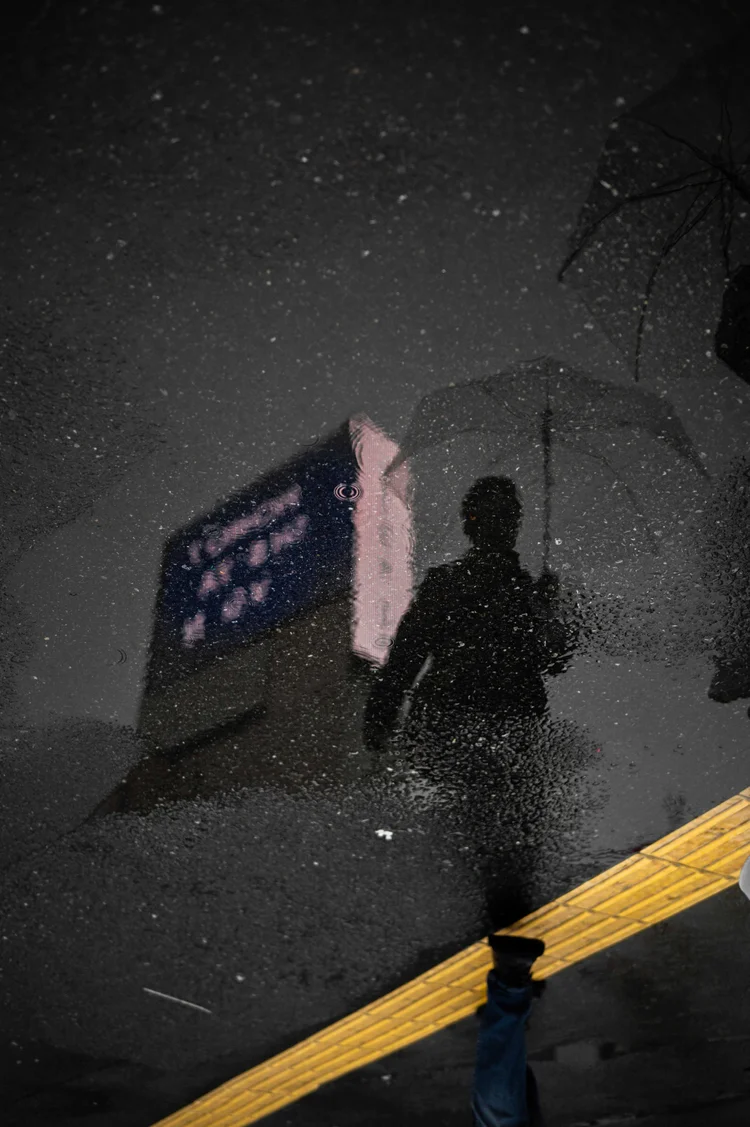 Japon: photograph by Jordan Sapally (200/213)