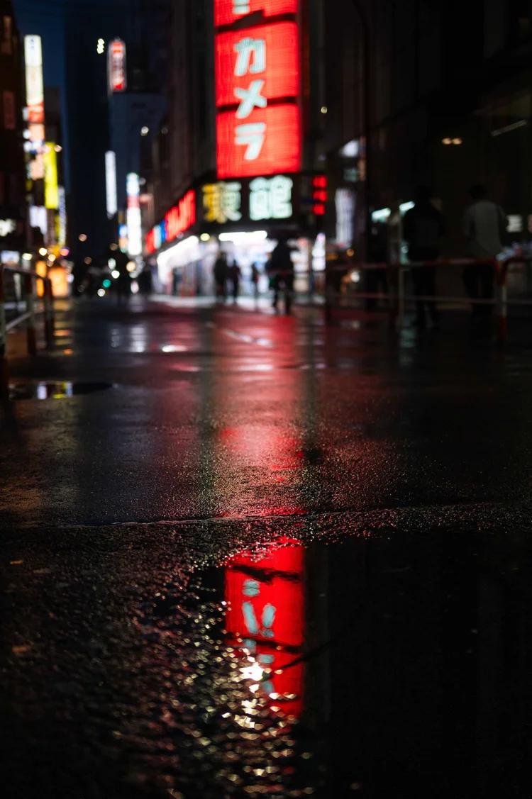 Japon: photograph by Jordan Sapally (202/213)