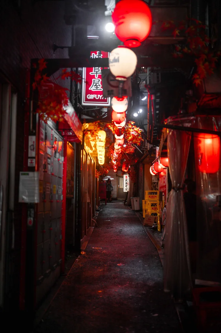 Japon: photograph by Jordan Sapally (204/213)