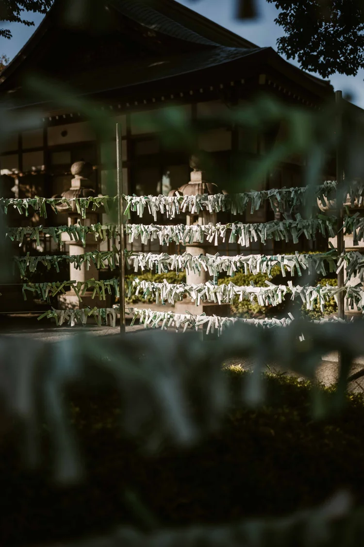 Japon: photograph by Jordan Sapally (34/213)