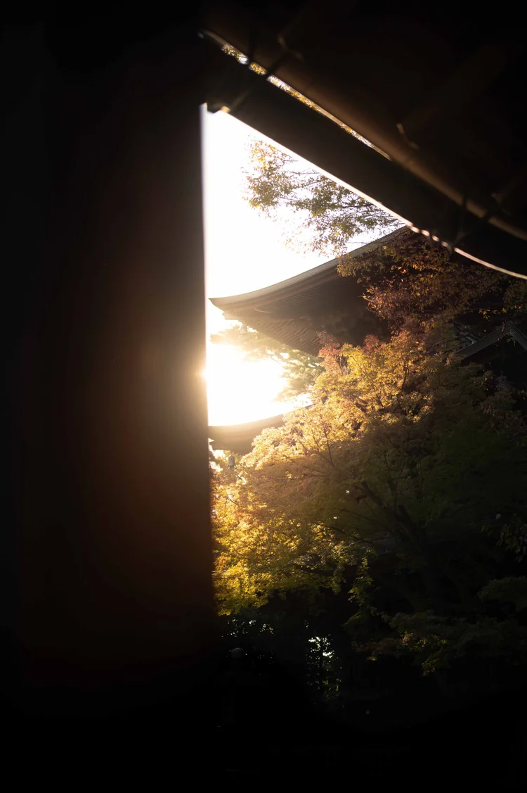 Japon: photograph by Jordan Sapally (41/213)