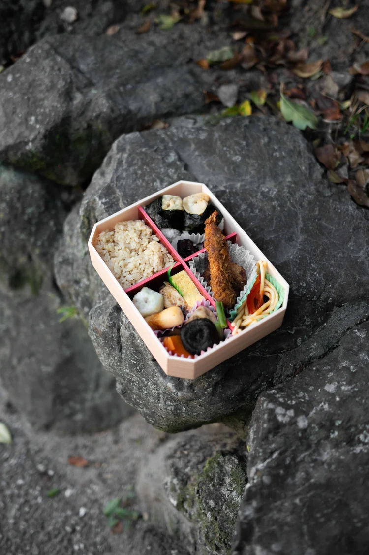 Japon: photograph by Jordan Sapally (71/213)
