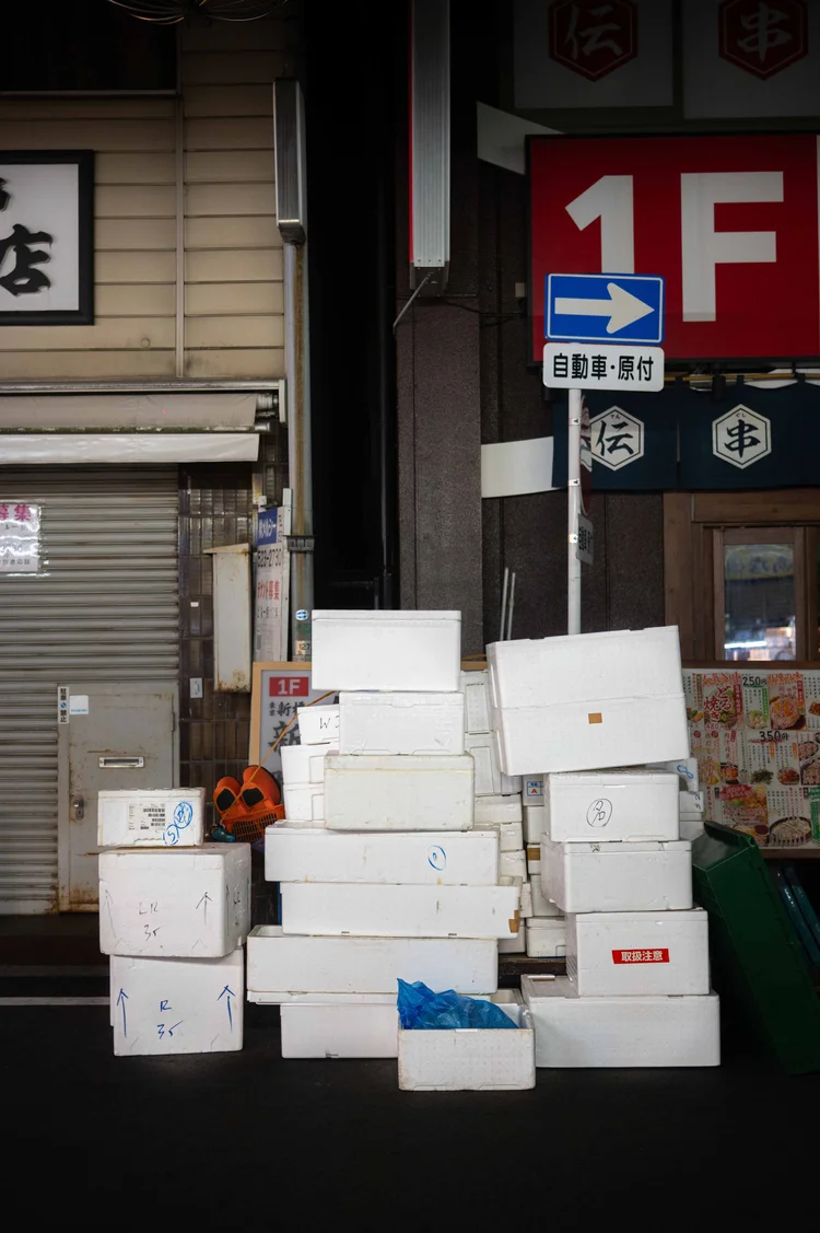 Japon: photograph by Jordan Sapally (76/213)