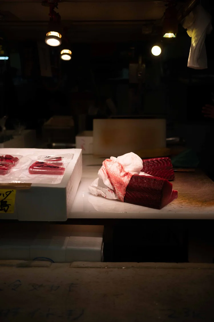 Japon: photograph by Jordan Sapally (83/213)