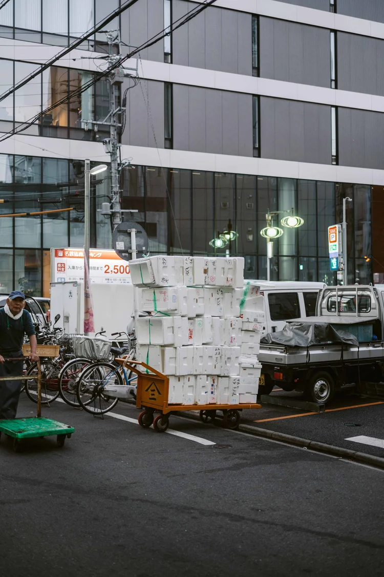 Japon: photograph by Jordan Sapally (93/213)