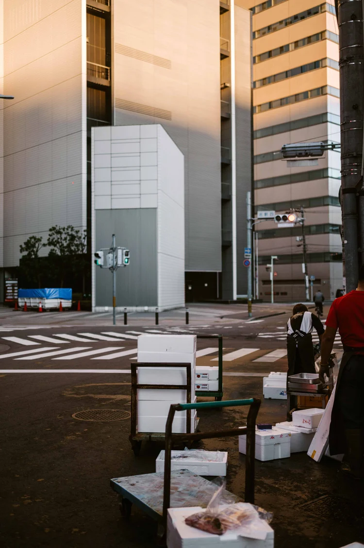 Japon: photograph by Jordan Sapally (97/213)