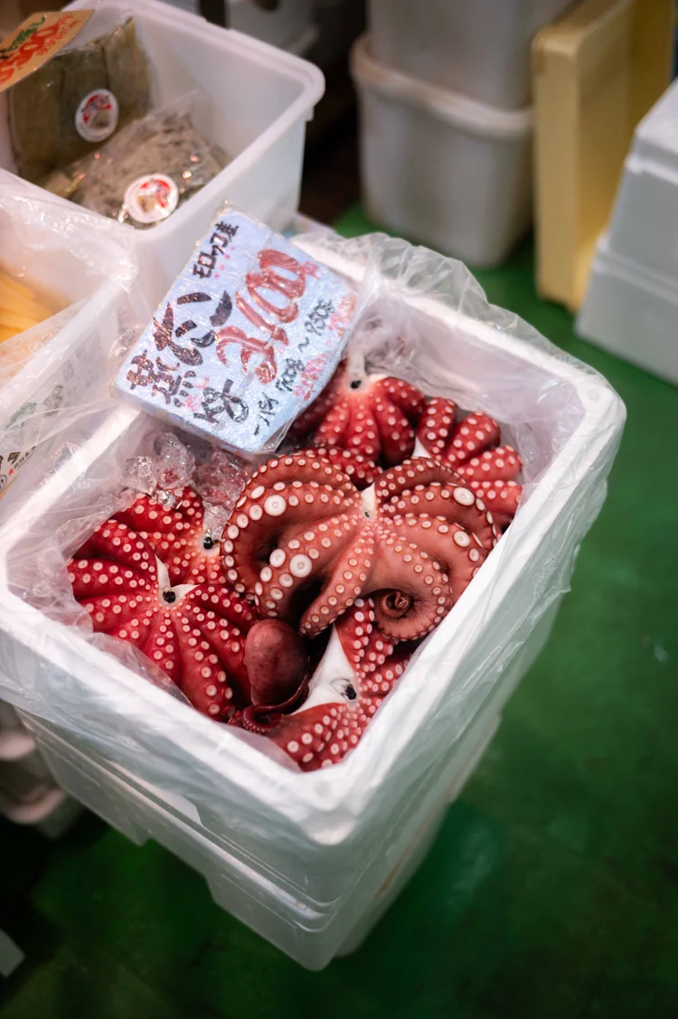 Japon: photograph by Jordan Sapally (99/213)