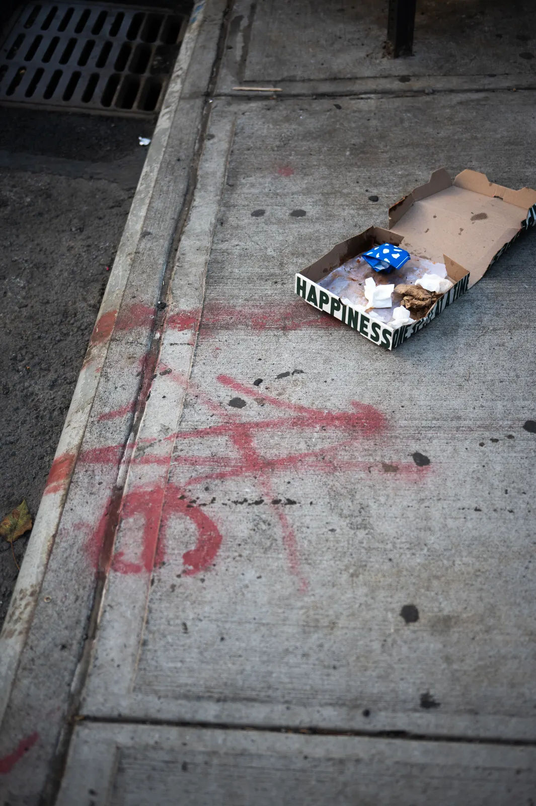 New York : photographie de Jordan Sapally (24/114)