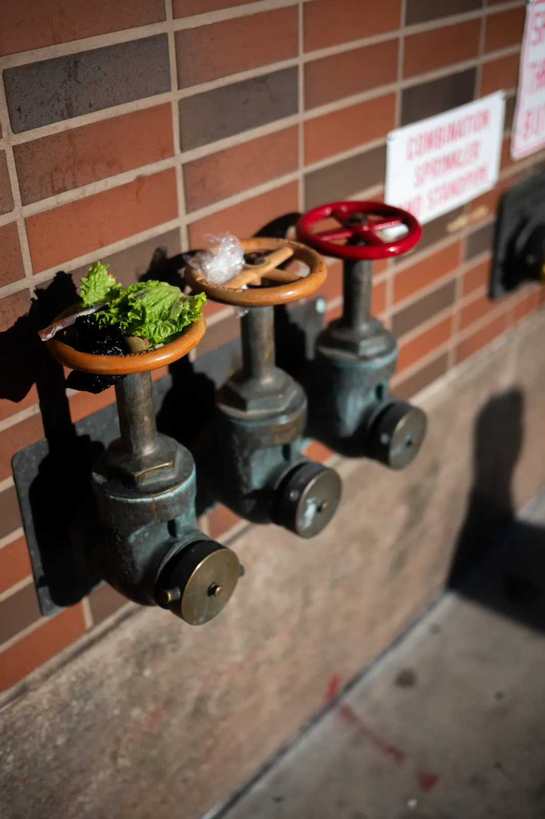 New York : photographie de Jordan Sapally (67/114)