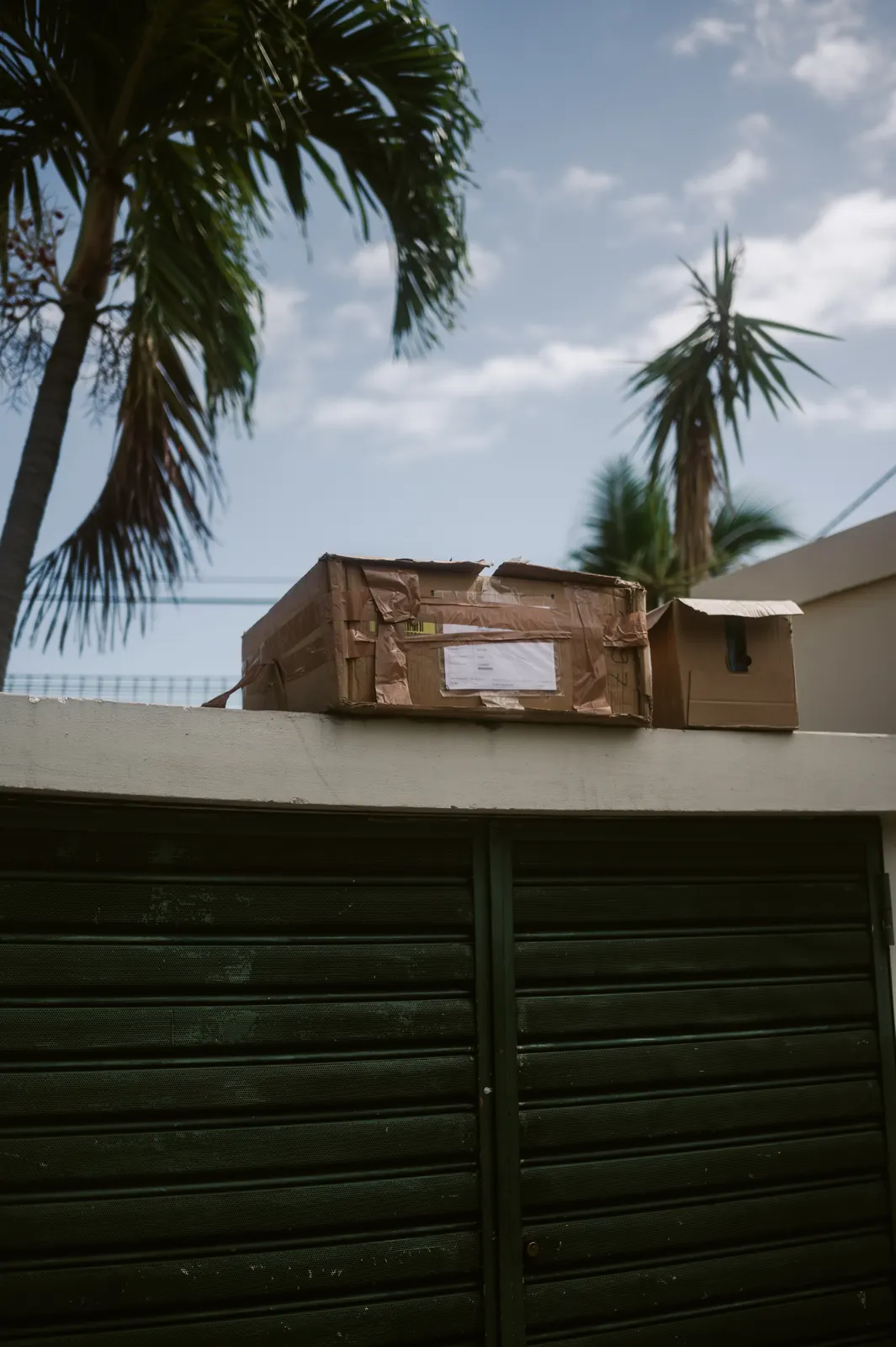 Polynésie française: photograph by Jordan Sapally (100/106)