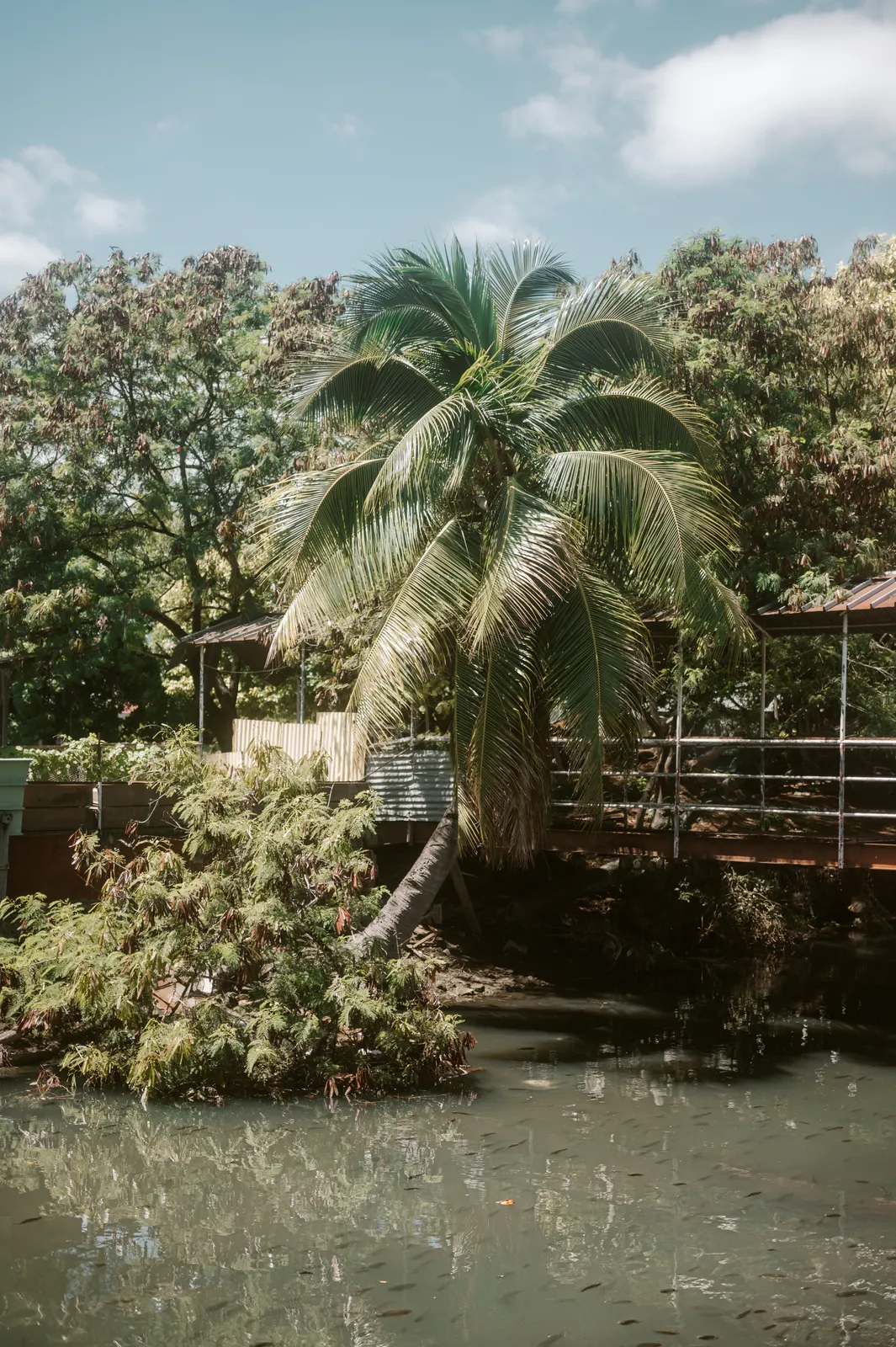 Polynésie française: photograph by Jordan Sapally (106/106)