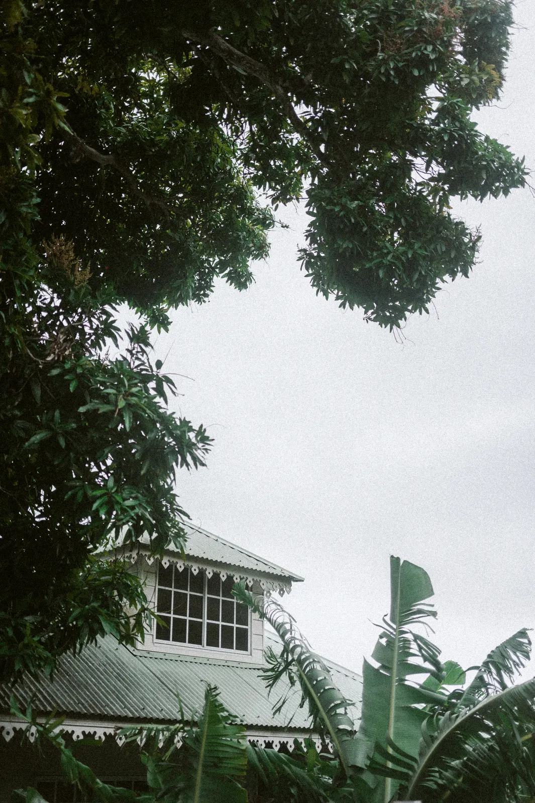 Polynésie française: photograph by Jordan Sapally (65/106)