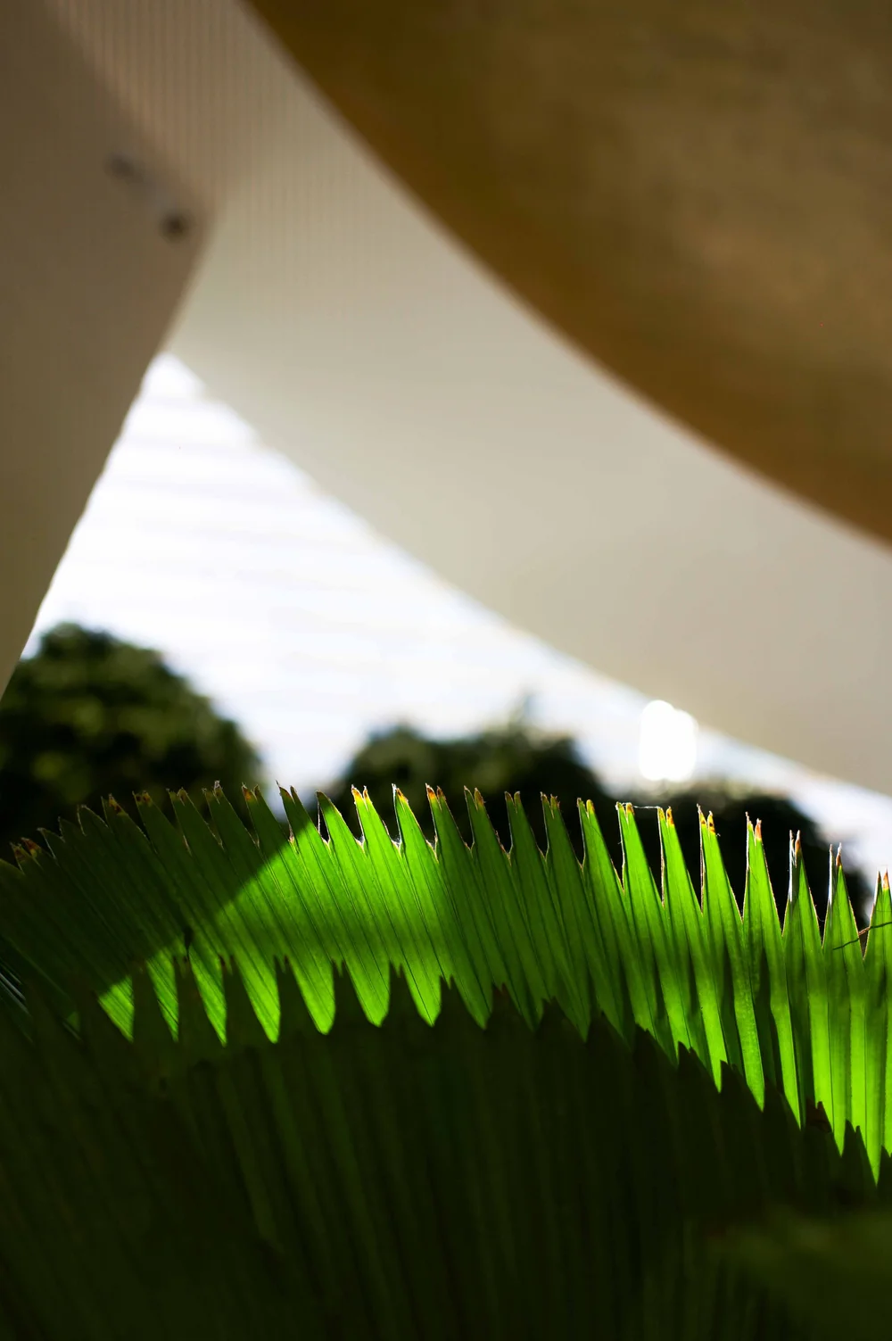Singapour: photograph by Jordan Sapally (110/119)