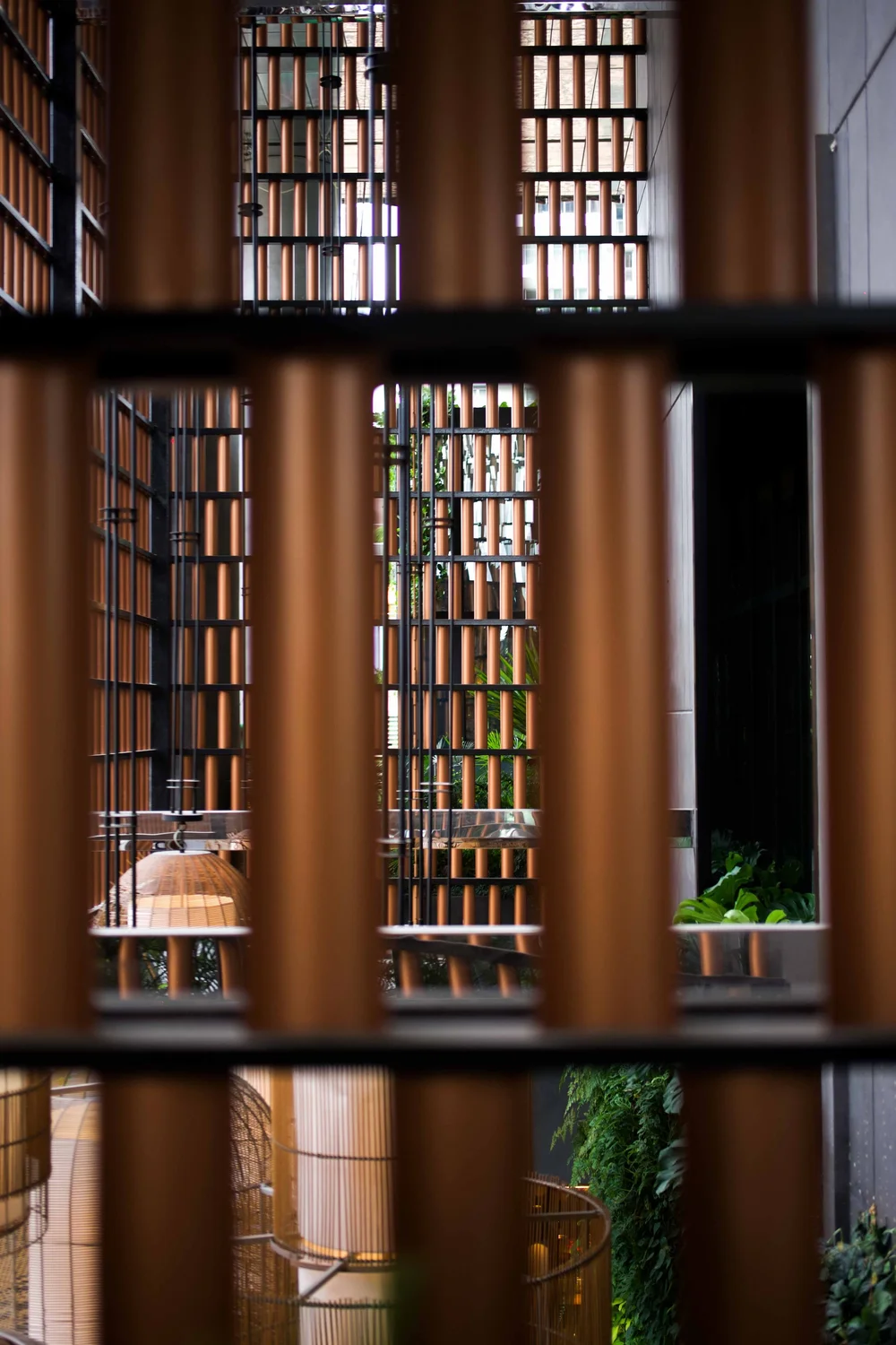Singapour: photograph by Jordan Sapally (51/119)