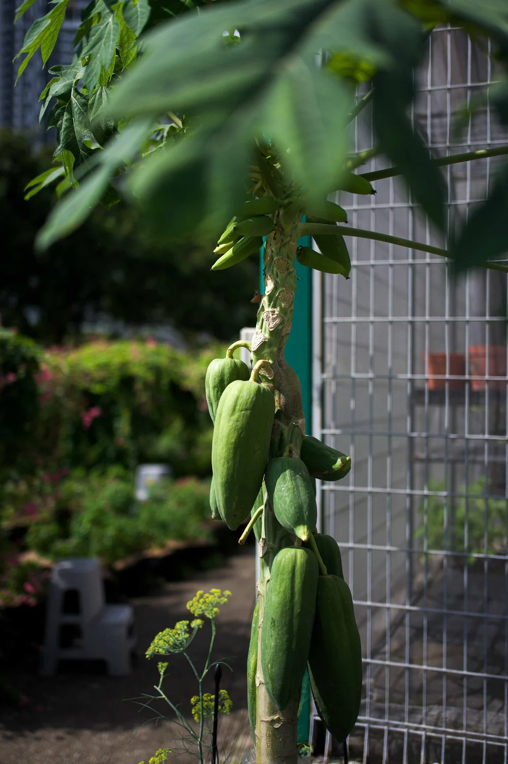 Singapour: photograph by Jordan Sapally (57/119)